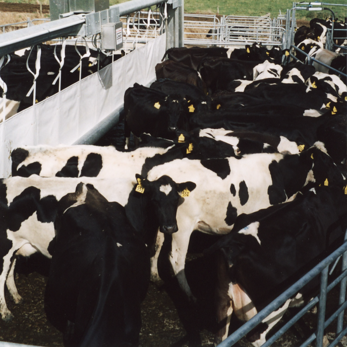 Linear Backing Gate