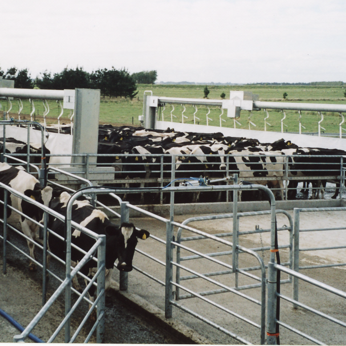 Linear Backing Gate